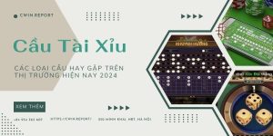 anh-dai-dien-cau-tai-xiu