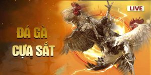 da-ga-cua-sat-anh-avata