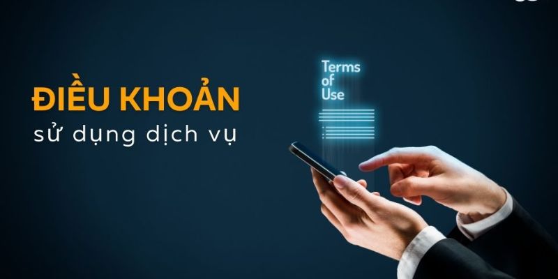 Những thông tin tổng quan về điều khoản