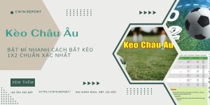 Kèo Châu Âu ảnh đại diện cho người dùng tìm kiếm